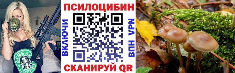 Галлюциногенные грибы Psilocybe  где купить наркоту  Жирновск 