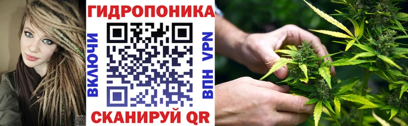 Канабис Amnesia  как найти закладки  Жирновск 